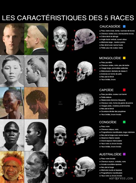 Quelle ethnie masculine est la plus recherchée ? Enquête sur les nouveaux canons de beauté et les réalités du marché de la séduction