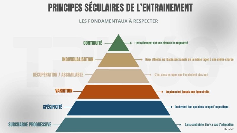 Quels sont les 7 principes de l'entraînement ? Le guide complet pour bâtir un corps qui ne lâche pas en 2026