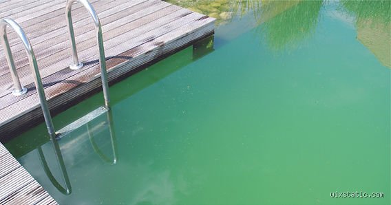 Comment corriger une piscine surstabilisée ? Le guide radical pour sauver votre eau sans tout vider