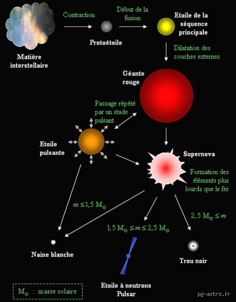 Comment est fait une étoile ? Autopsie cosmique d'un monstre de plasma et de gravité