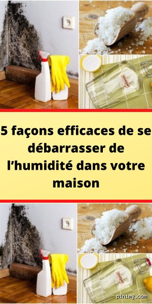 Comment Supprimer l'Humidité dans une Maison : Solutions Pratiques et Efficaces