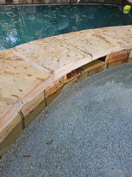 Pourquoi le niveau d'eau de ma piscine baisse-t-il lorsque la pompe est éteinte : le guide complet pour identifier une fuite statique