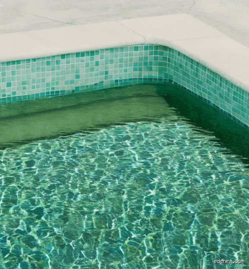 Pourquoi ma piscine a-t-elle des algues vertes après un traitement au chlore ? Les raisons cachées d'un échec chimique frustrant