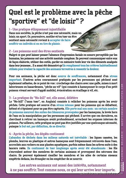 Quel est l'inconvénient de la pêche ? Comprendre l'envers du décor d'une industrie entre tradition et épuisement biologique