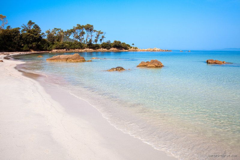 Quel est la plus belle plage d'Ajaccio ?