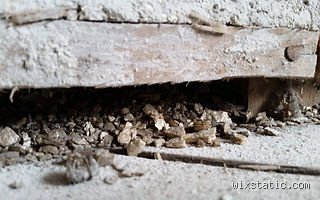 Quel est le prix d'une décontamination de la vermiculite : le guide complet pour ne pas se ruiner en 2024