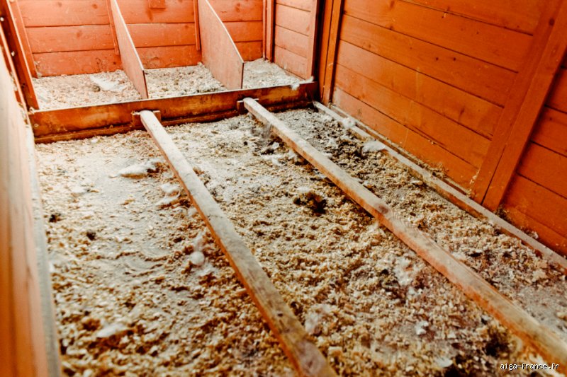 Quelle matière mettre dans un poulailler pour un abri durable et sain ?