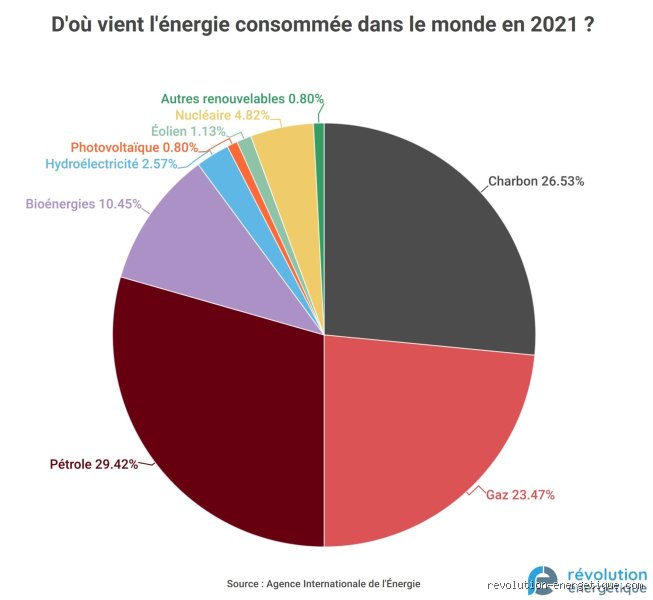 Quelle est la source d'énergie la plus consommée au monde et pourquoi cela résiste à tous nos discours écologistes ?
