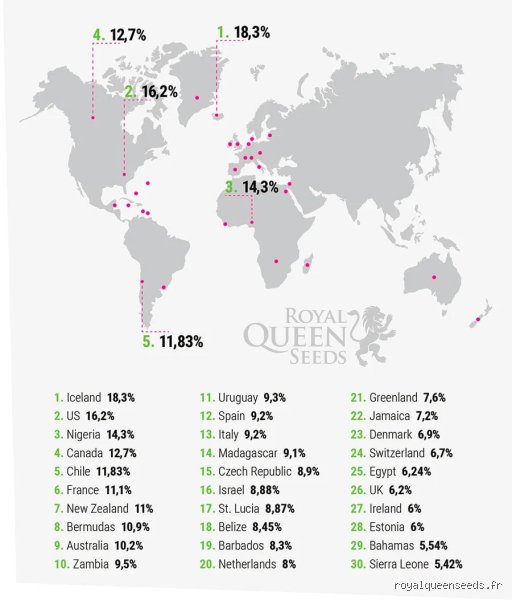 Quelle est la ville qui consomme le plus de drogue au monde ? Enquête sur les capitales mondiales de l'addiction