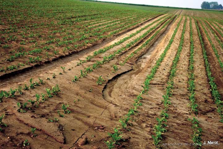 Quelles sont les conséquences de l'érosion sur l'agriculture ?