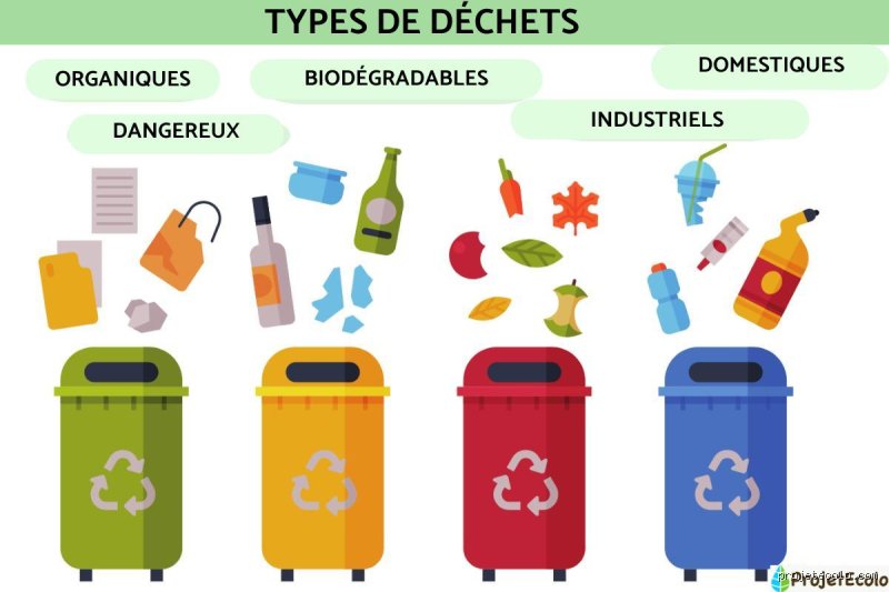 Quels sont les 6 types de déchets ? Le guide complet pour enfin comprendre ce que nous jetons vraiment