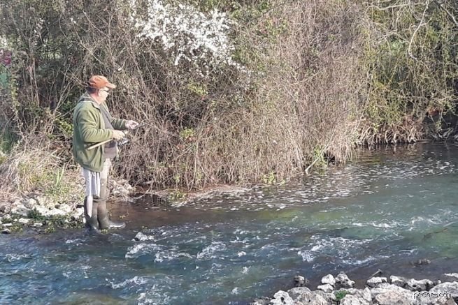 Quels sont les dangers de la pêche ? Enquête sans fard sur une industrie au bord de la rupture et ses secrets enfouis