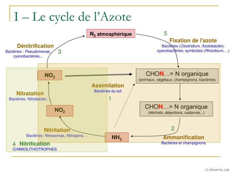 Qui fabrique l'azote ? Les coulisses de cette production invisible