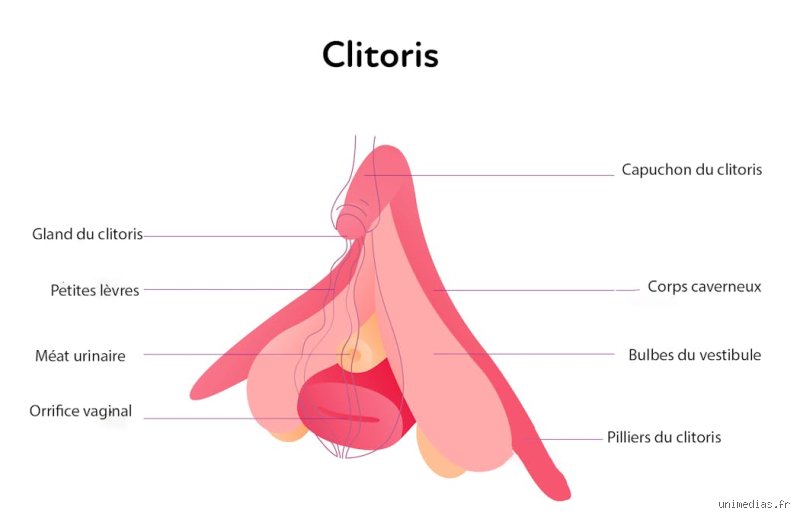 Que ressent une fille lors d'un orgasme ?