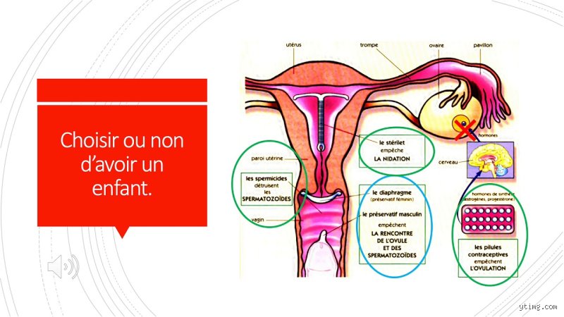 Quel est l'organe responsable de l'amour ?