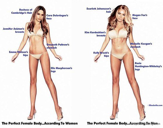 Quelle est la femme idéale physiquement pour un homme ? Entre fantasmes universels, dictats de la science et réalité du désir