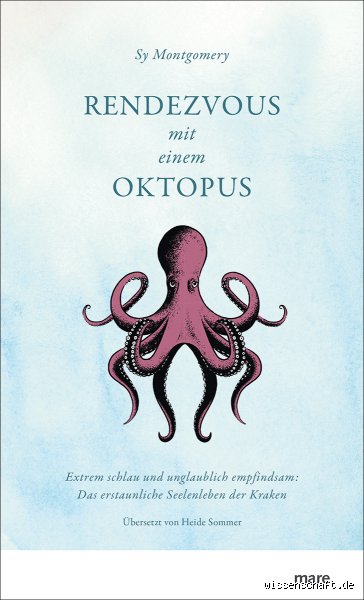 Hat ein Oktopus ein Bewusstsein? Die faszinierende Wahrheit hinter den Tentakeln