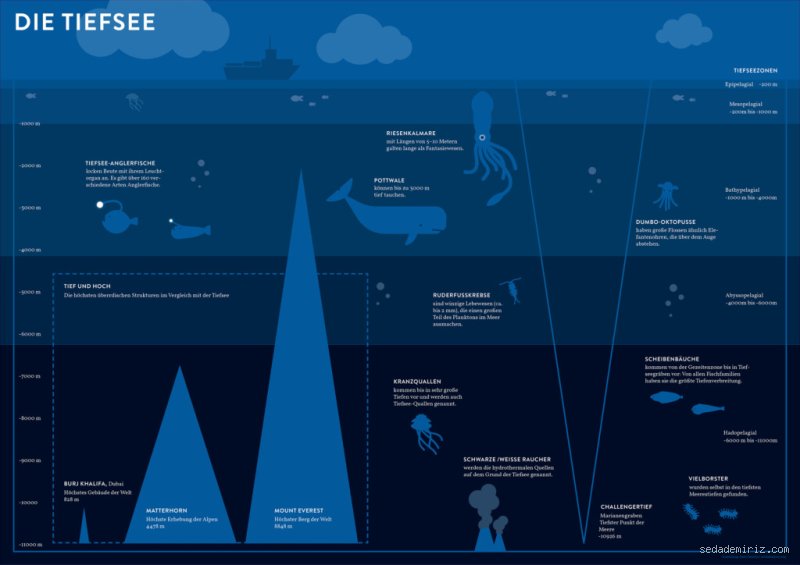 Was passiert, wenn ein Mensch zu tief ins Meer eindringt?