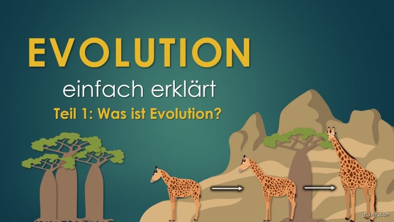 Welches Tier altert rückwärts?