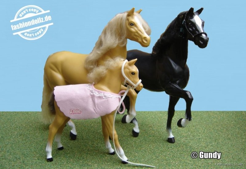 Wie heißt das Pferd von Barbie? Der ultimative Guide zu Tawny, Dancer und Co.