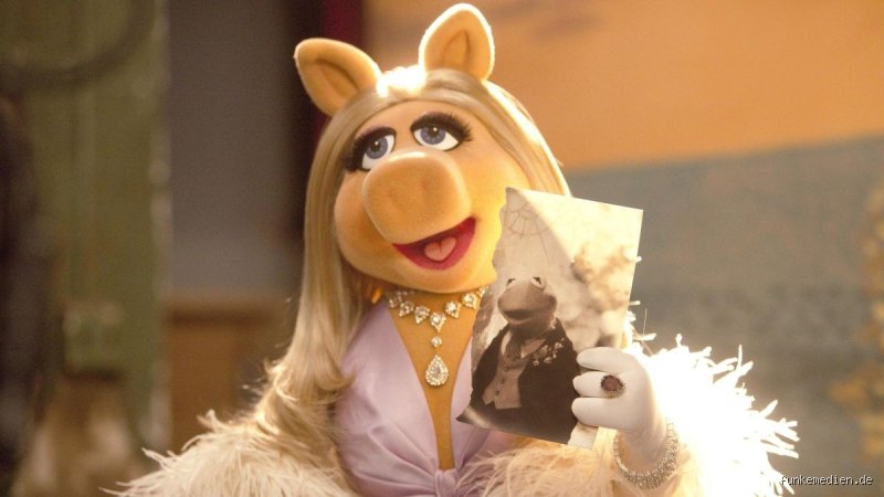 Wie heißt Frau Schwein eigentlich? Die verblüffende Wahrheit über Namen, biologische Begriffe und kulturelle Missverständnisse