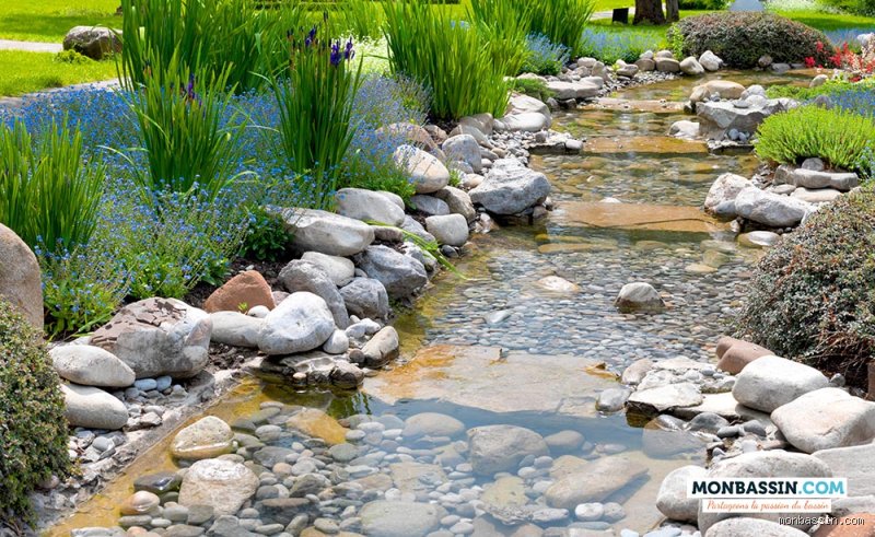 Comment avoir de l'eau claire dans un bassin à poissons : les secrets des experts pour un écosystème limpide et durable