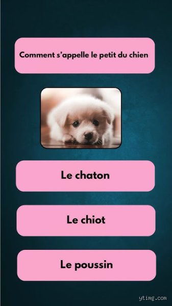 Comment on appelle le petit d'un chien ?