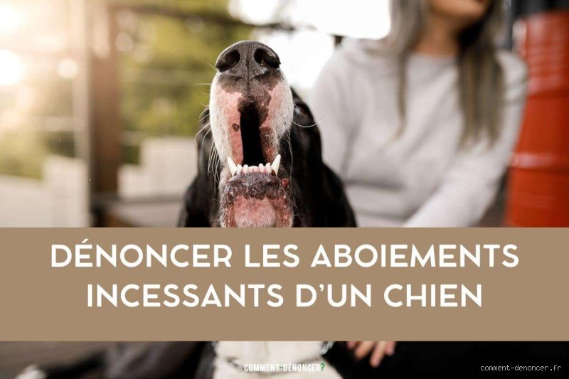 Comment savoir si mon voisin maltraite son chien ?