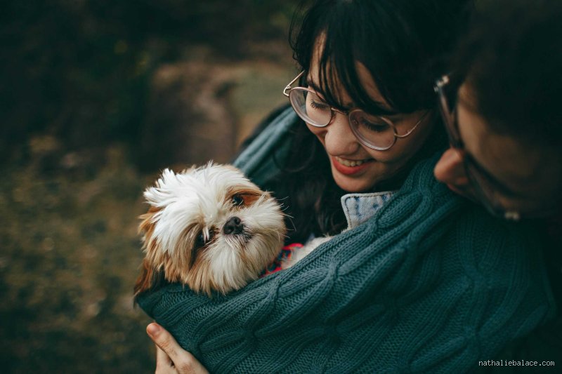 Où vont nos animaux de compagnie après leur mort ?