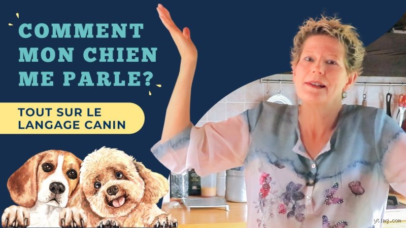 Pourquoi mon chien me parle ?