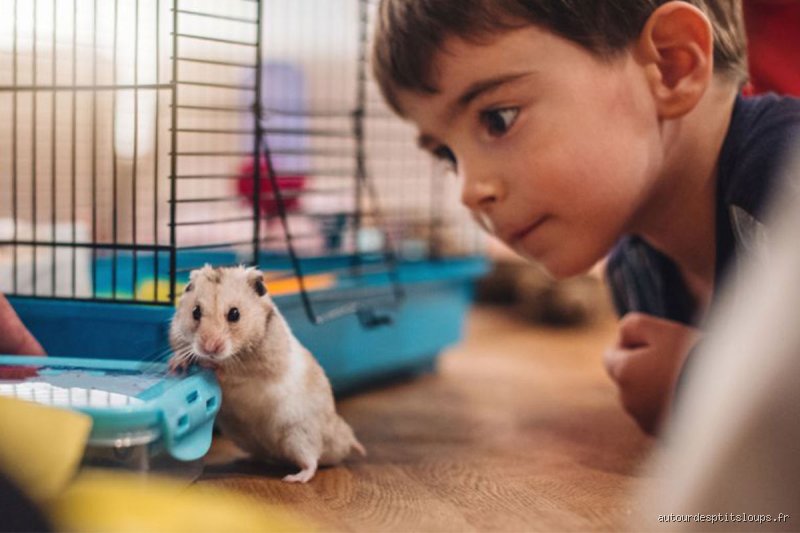 Quel animal pour un enfant de 7 ans ?
