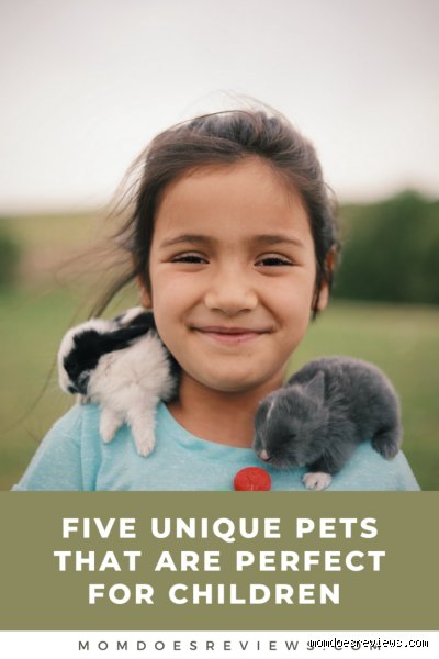 Quel animal pour un enfant unique ?