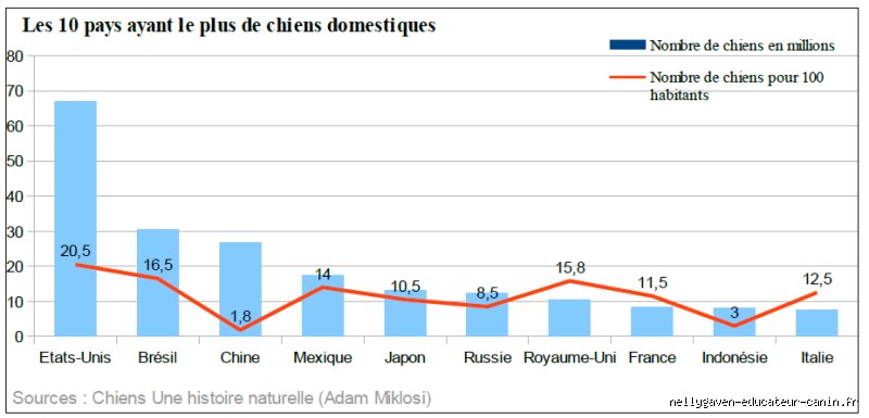 Quel pourcentage de Français ont un chien ? La vérité derrière les statistiques affectives
