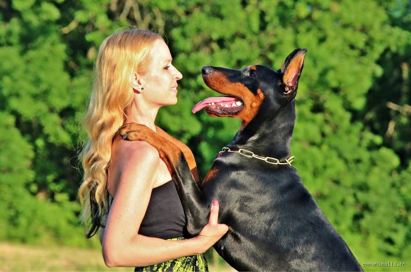 Quelle race de chien choisir quand on est une femme seule ? Les pistes réalistes
