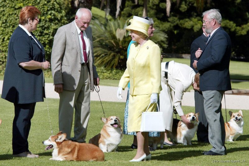 Qui a gardé les chiens de la Reine ?