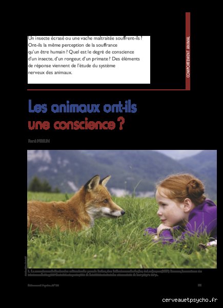 Un animal a-t-il une conscience ? Ce que la science nous révèle (et ce qu’elle ignore encore)