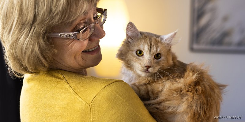 Est-ce que mon chat sait que je lui parle ? Décryptage d'une connexion invisible entre science et intuition féline