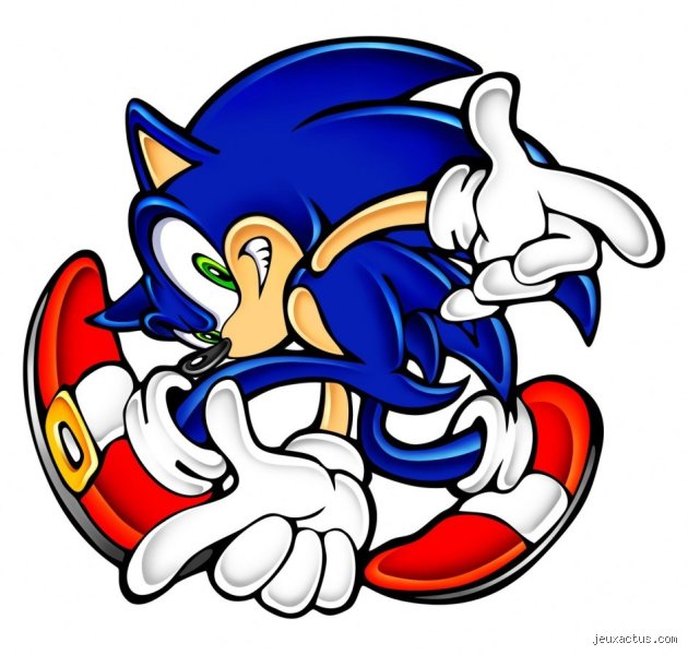 Est-ce que Sonic a une queue ? La vérité sur ce détail inattendu du hérisson bleu