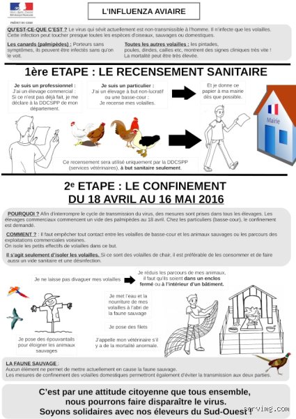 Est-il obligatoire de déclarer ses poules en mairie ?