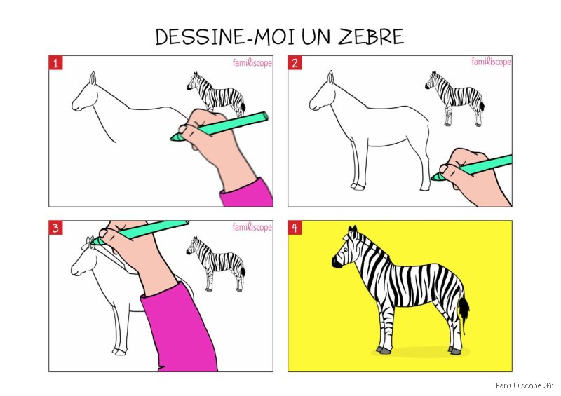 Est-il possible de monter un zèbre ?