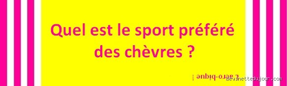 Le sport préféré des chèvres ? Enquête sur une passion insoupçonnée pour l'acrobatie verticale et le parkour rustique