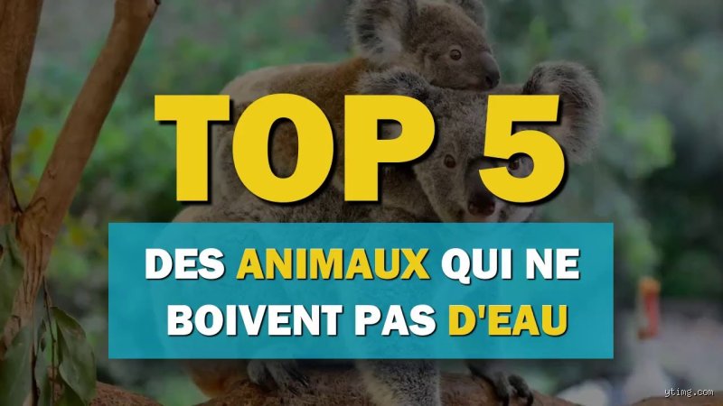 Quel est l'animal qui ne flotte pas dans l'eau ?