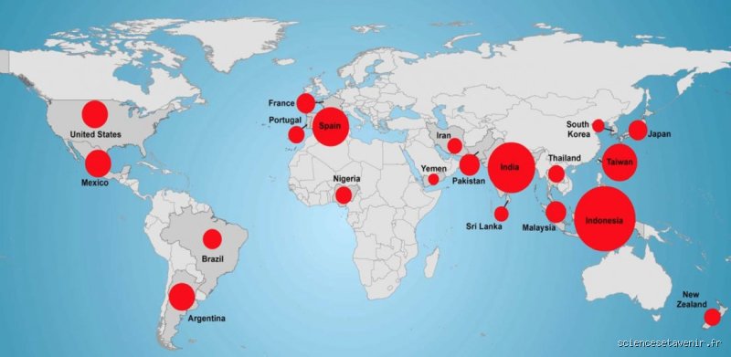 Quel est le pays avec le plus de requins ?