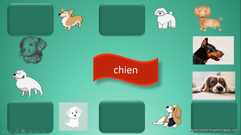 Quel mot comprend un chien ?