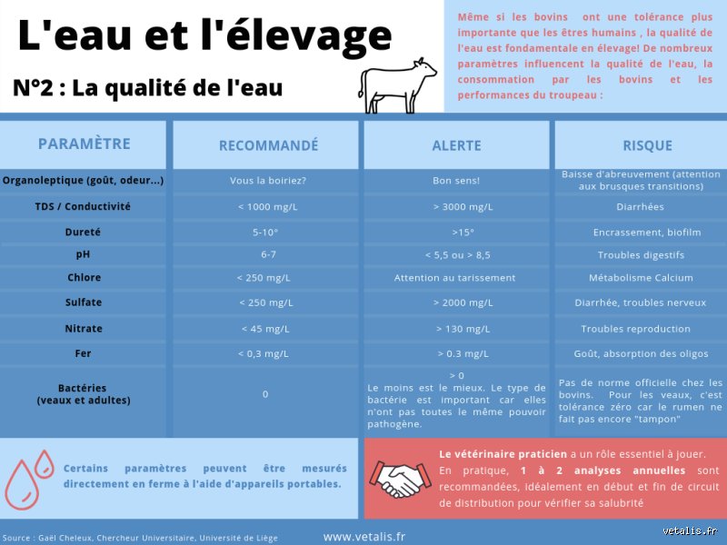Quelle quantité d'eau boit une chèvre par jour ?