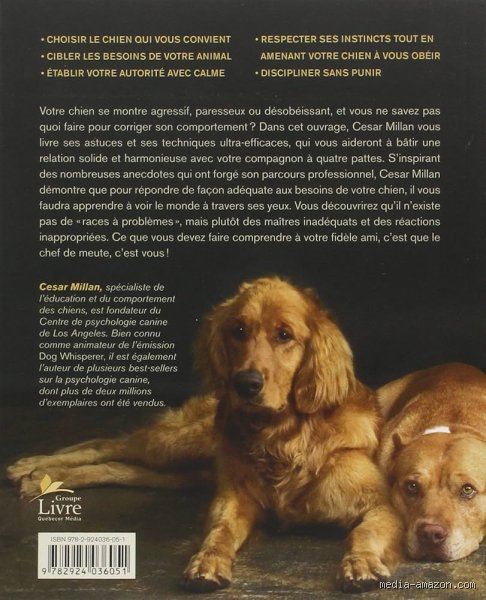 Quelles sont les trois règles de Cesar Millan pour transformer radicalement la relation avec votre chien ?