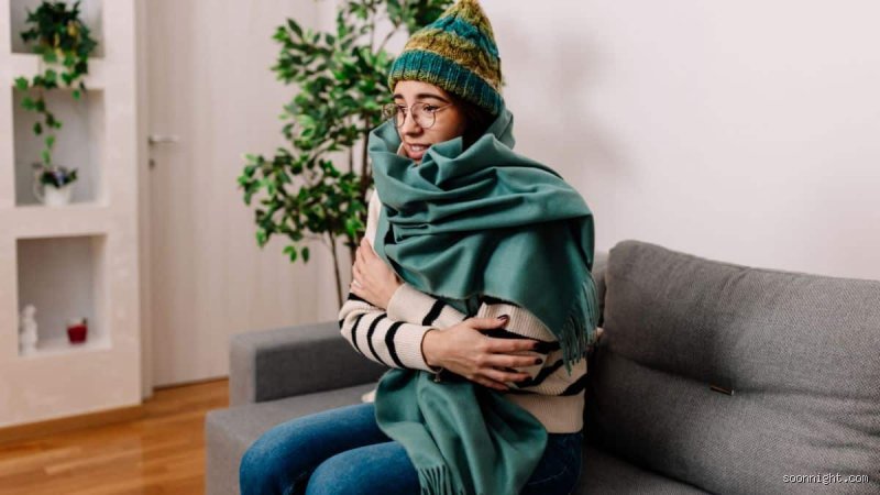 Qui résiste le mieux au froid ? Plongée au cœur des stratégies de survie et de l'incroyable adaptabilité du vivant