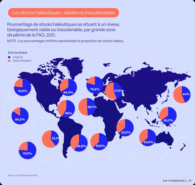 Quel est le pays où la pêche est la meilleure au monde ? Le guide ultime pour débusquer les spots de légende en 2026