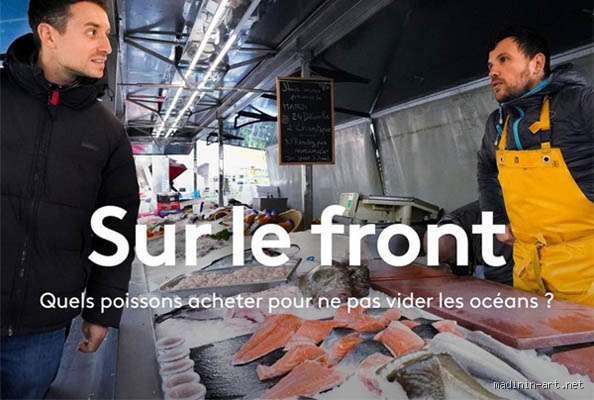 Quels poissons acheter pour ne pas vider les océans : le guide radical pour une consommation vraiment responsable