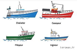 Quels sont les trois types de pêche ? Le guide complet pour comprendre la réalité des océans aujourd'hui